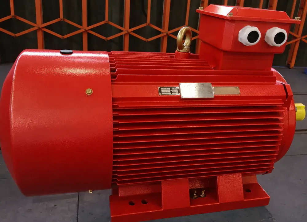 acmotors-EP-YE2IE2 Series High Efficiency Three Phase Asynchronous Motor-show